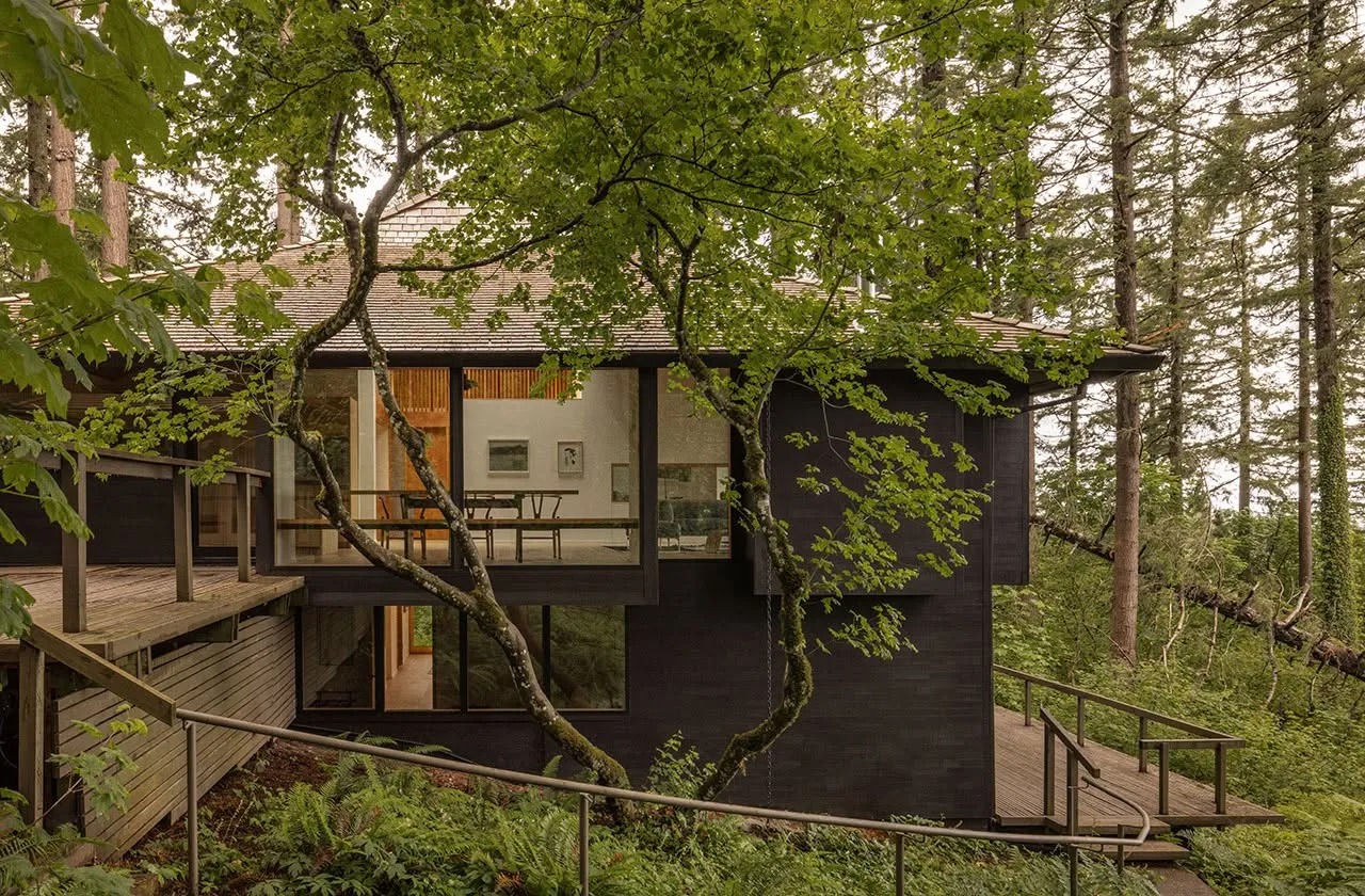 Dark-stained house among tall firs, a lit dining room visible through its glass corner and timber decks stepping down the slope.