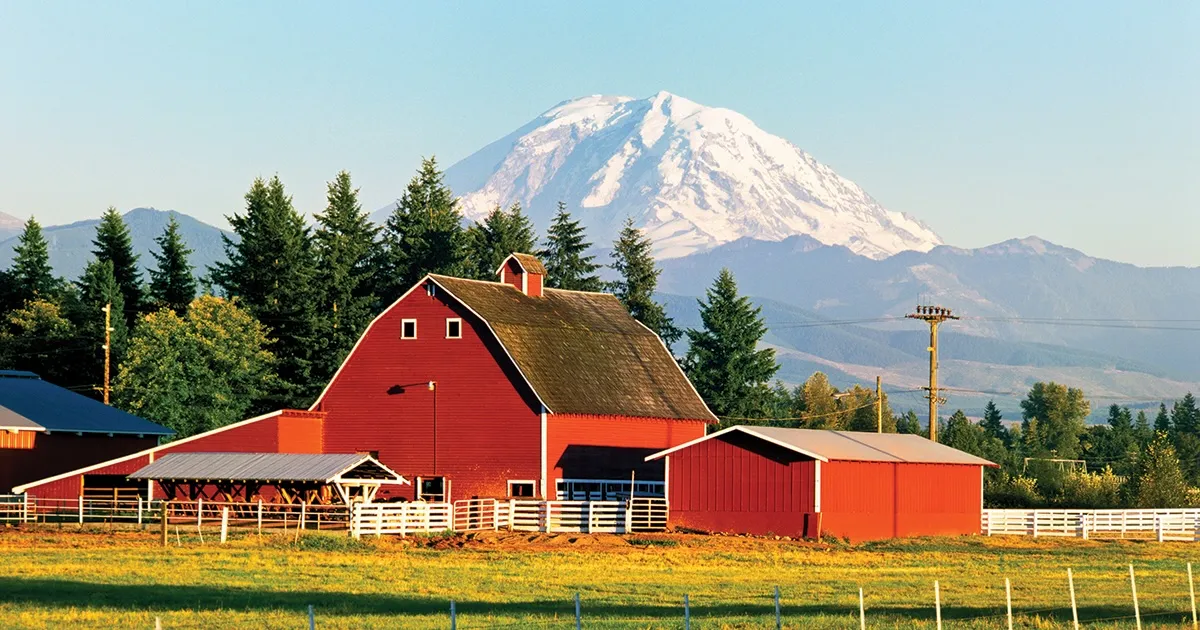 Red gambrel-roofed barn and outbuildings behind white fences, a snow-capped volcano rising over the trees behind.