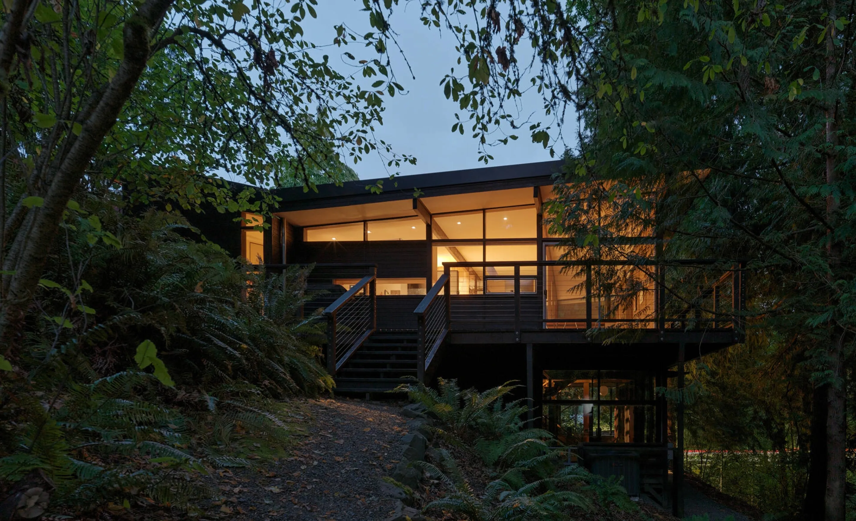 Larch House at dusk — a lit timber pavilion on stilts among ferns and trees.