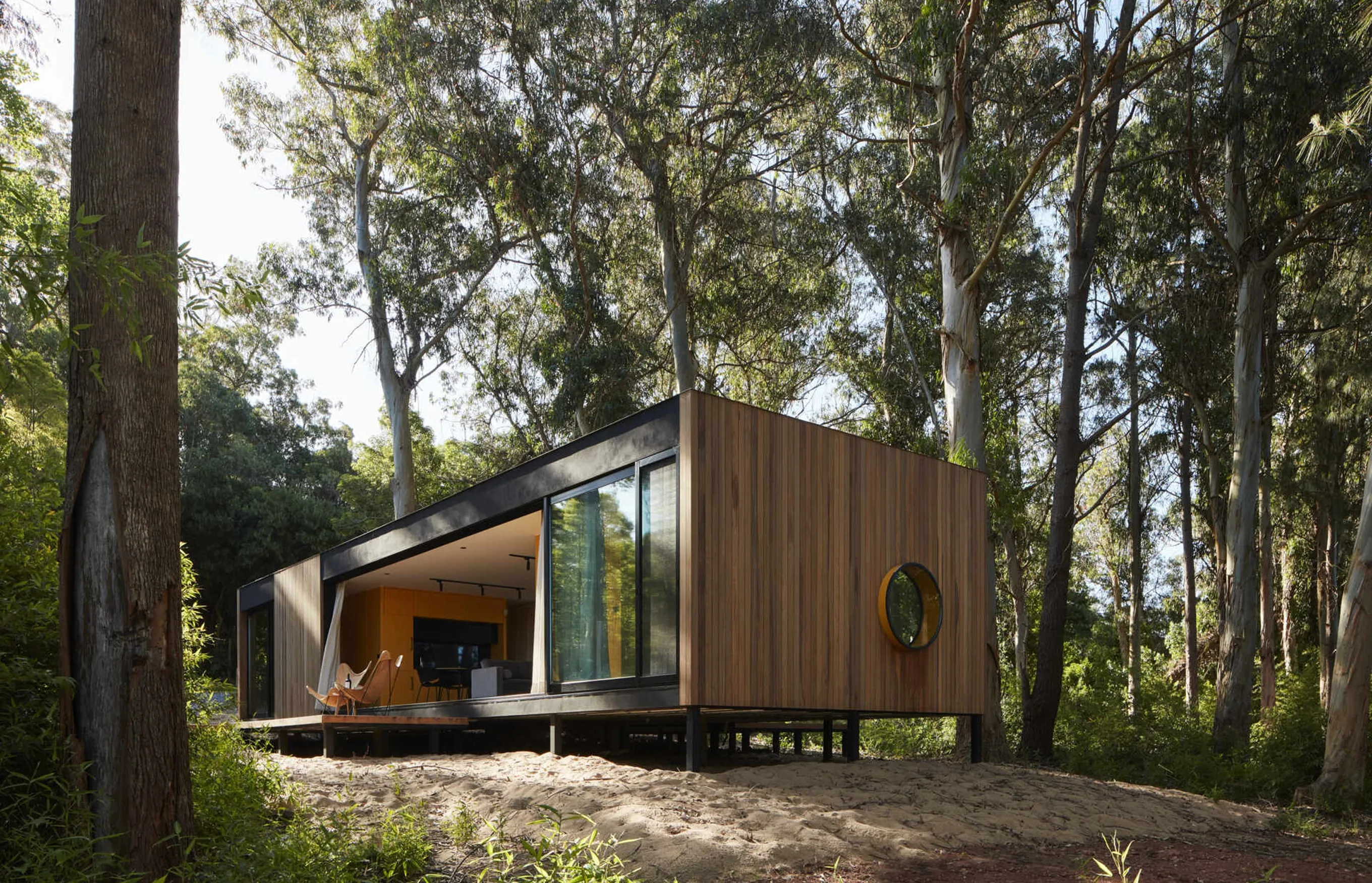 Timber-clad cabin with a round window, raised on steel posts among eucalyptus, its glass wall slid open onto a warm interior.
